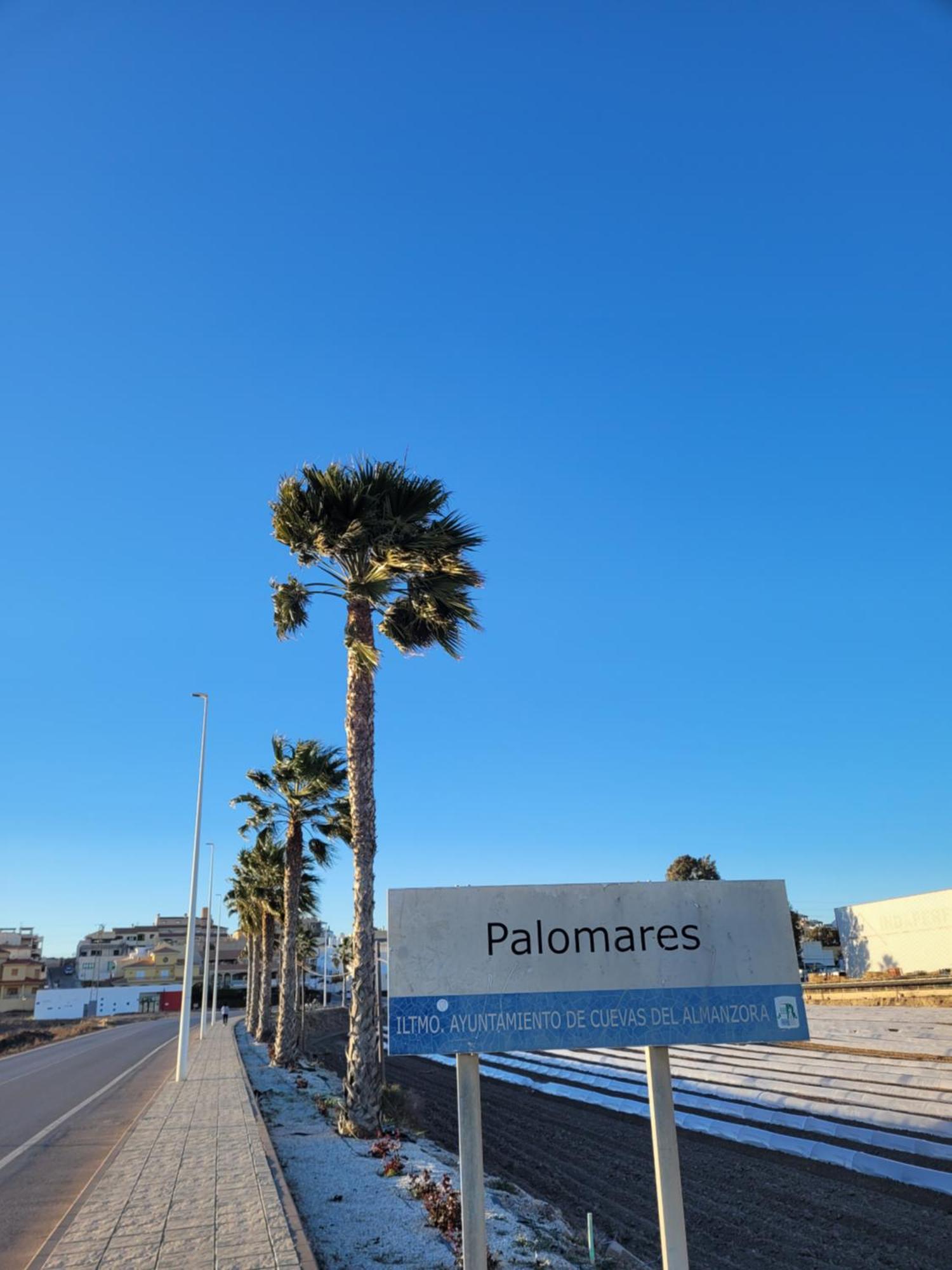 Casa Pepe Daire Palomares  Dış mekan fotoğraf